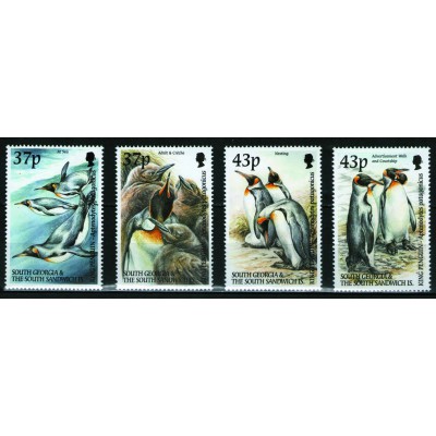 Pinguino Real